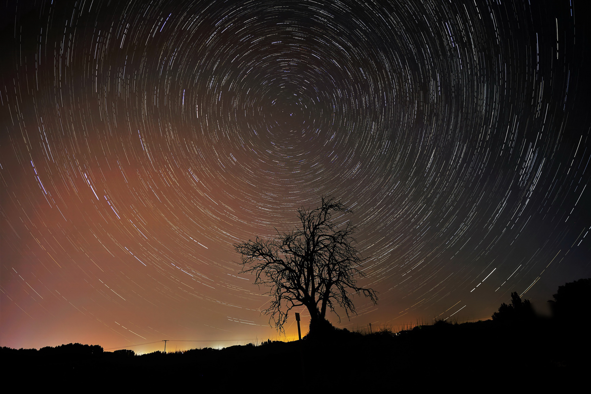 Circumpolar en el viejo árbol